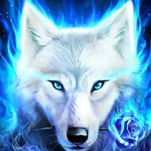 Meet your Posher, Cassandra